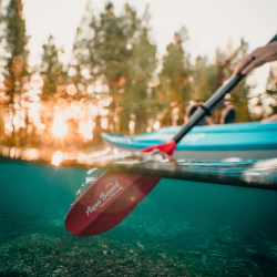 AQUABOUND StingRay 2-delt snap | Low angel