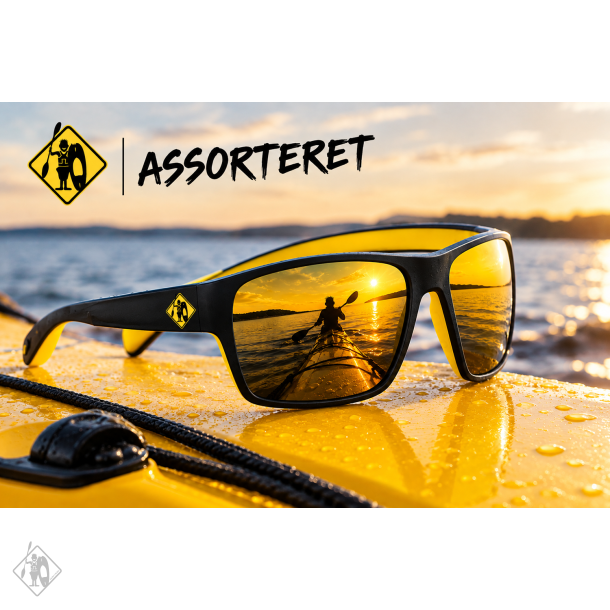 Assorteret Solbriller i Butikken 