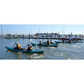 Leje af dobbelt kajak st af 5 styk.