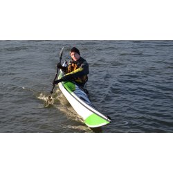 AQUARIUS Sea Lion LV