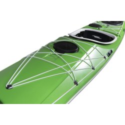 REBEL Gnarly Dog, carbon/kevlar