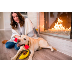 Kajak leget�j til din hund