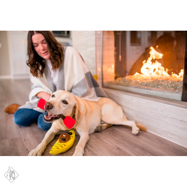 Kajak legetj til din hund