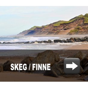 Skeg / finne