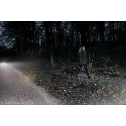 ORBILOC Safety light