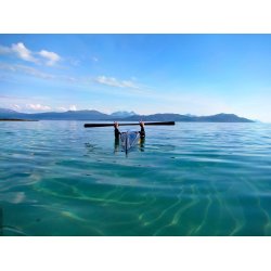 REED Avatak rulle hjlper