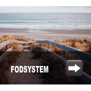 Fodsystem