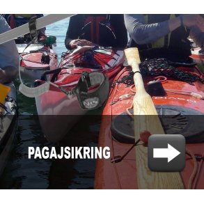 Pagajsikring