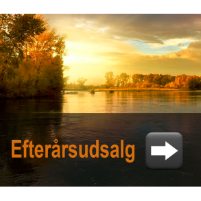 Efterårsudsalg
